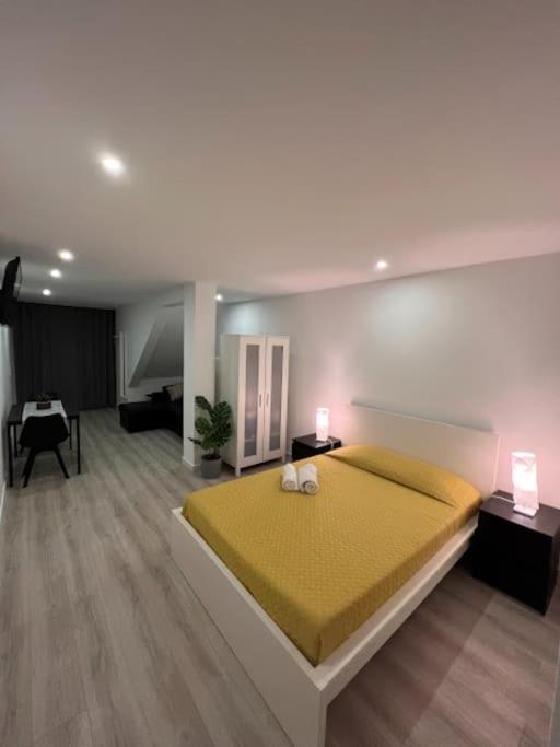 Opo - Fantastic Studio With Garden Porto Zewnętrze zdjęcie