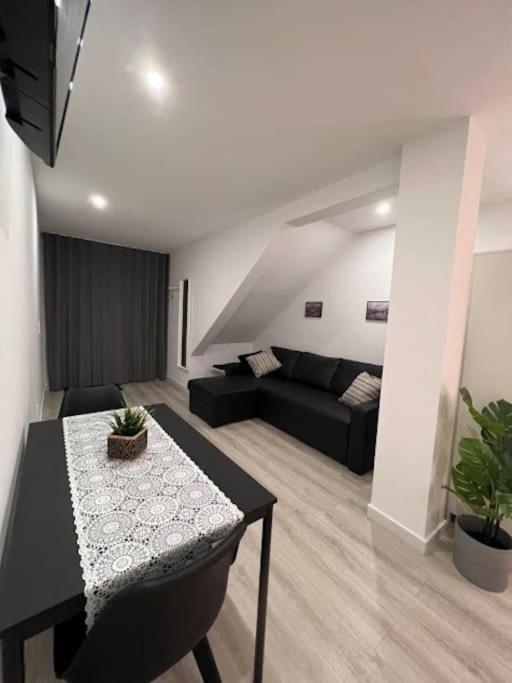 Opo - Fantastic Studio With Garden Porto Zewnętrze zdjęcie