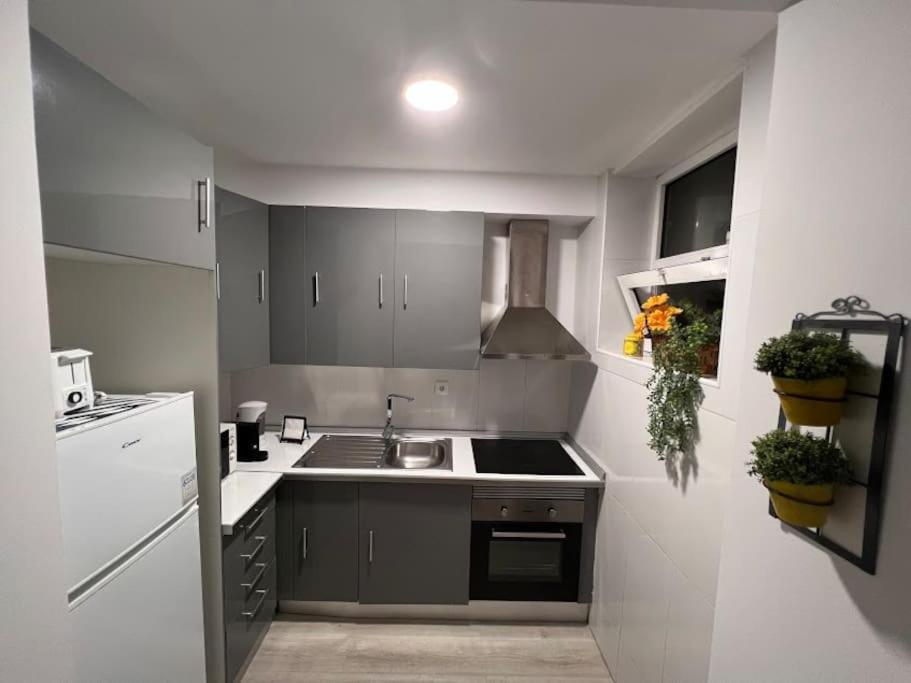Opo - Fantastic Studio With Garden Porto Zewnętrze zdjęcie