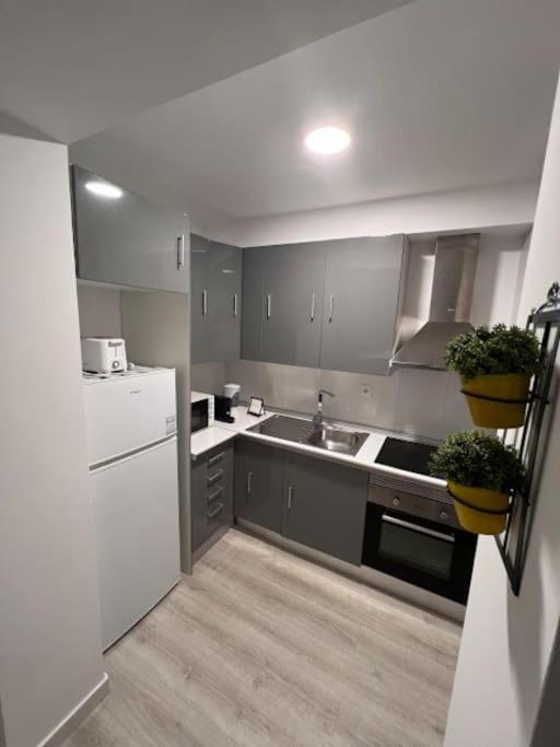 Opo - Fantastic Studio With Garden Porto Zewnętrze zdjęcie